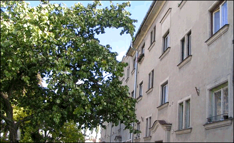 Prodej byt 2+1, Oslavany, 2009