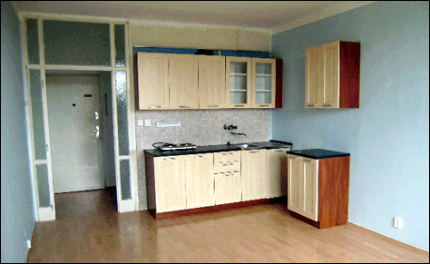 Pronájem bytu 1+kk, Brno-Žabovřesky, 2009