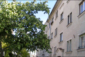 Prodej byt 2+1, Oslavany, 2009